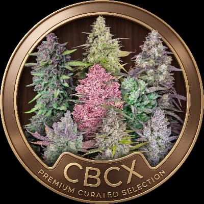 X CBCX: The Ultimate Natural Synergy