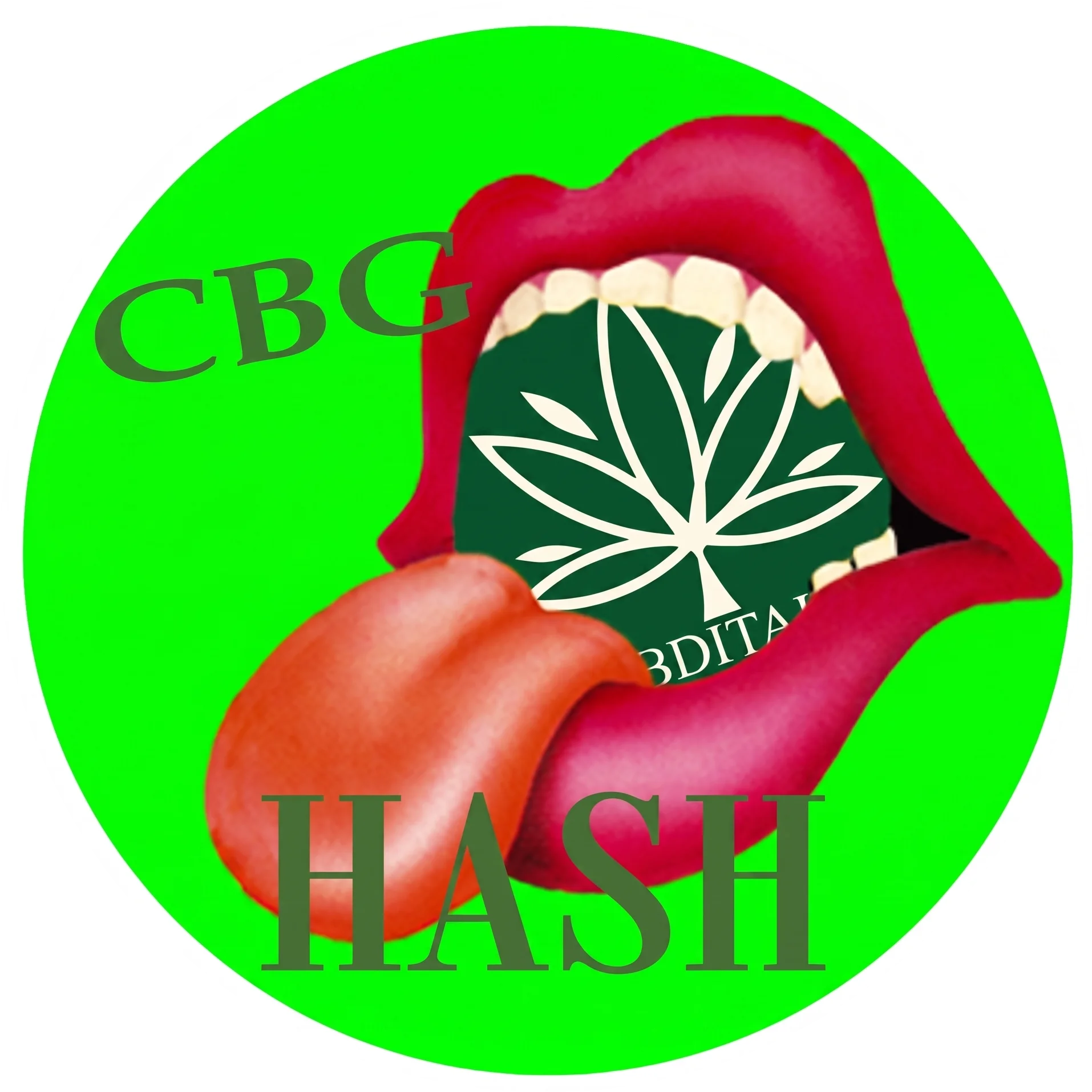 CBG HASH Dutch Passion | CBDITALY