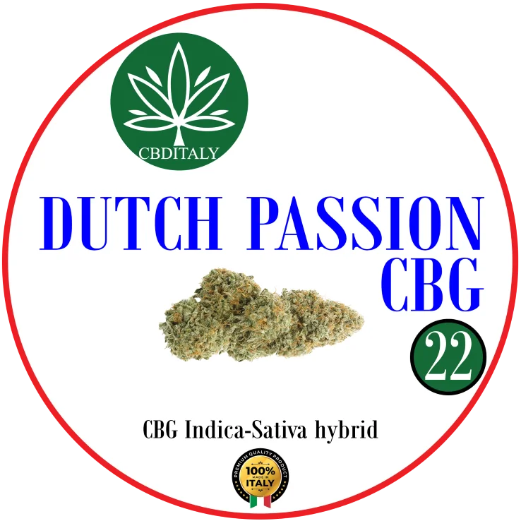 CBDITALY Dutch Passion CBG 22% Indica-Sativa hybrid hemp flower bud, 100% Italy